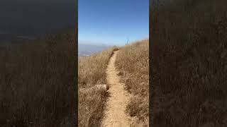 Walking through a grassy meadow on Box Springs Mountain [upl. by Asilram]