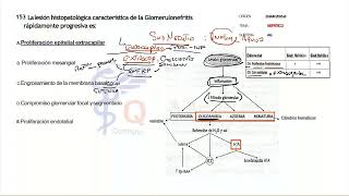 8 BANCO DE PREGUNTAS NEFROLOGÍA PARTE 8 [upl. by Chiquita]