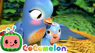 Five Little Birds Song  CoComelon Animal Time  Animals for Kids [upl. by Odilia]