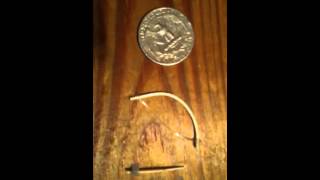 The Worlds Smallest Bow And Arrow [upl. by Eelsha]