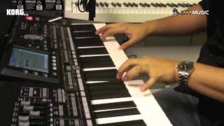 Intro to Korg PA3X by Mike [upl. by Anahoj979]