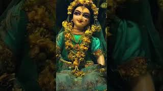 Radha Radha Naam Rajat hai🙏❤ Radha Rani new status💕 radhrani radhakrishna shortvideo [upl. by Retsbew252]