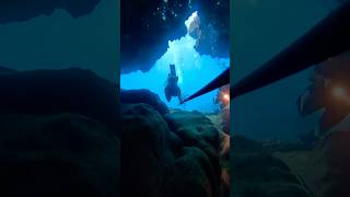 Lava tubes 🤩 lavatube underwater freediver freediving ocean [upl. by Odlawso]