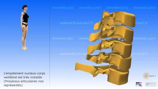 La colonne cervicale [upl. by Silvers547]