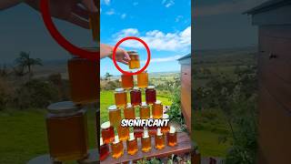 How Honey Is Made At Home🍯 shorts honey diy trending shortsfeed [upl. by Halfdan]