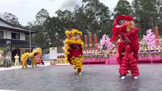 Brisbane Buddha Birthday Festival [upl. by Dahsar]