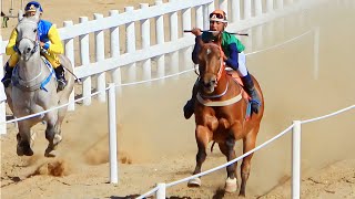 28ª Corrida de Cavalos  São Geraldo do BaixioMG  COMPLETO [upl. by Ahsienek]