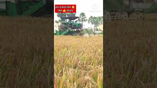 ll This is my agriculture form ll amezing view llagriculture land form rice wow harvester [upl. by Bac]