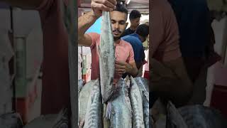 360 Variety fish available Sagar fish belathur Kadugodi please come please visit thank you [upl. by Jala6]