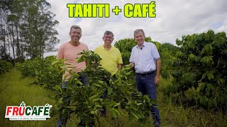 Como Implantar LIMÃO TAHITI com Café Conilon [upl. by Jemima]