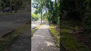 Walking in Playacar Playa del Carmen Mexico tropical Caribbean jungle city life travel explore [upl. by Beitz]