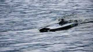 Catamaran R2 Silver Fox 36quot Twin Power 115 kmh Not Top Speed Crash [upl. by Aihsi]