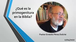 ¿Qué es la primogenitura en la Biblia [upl. by Peonir804]