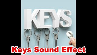 Keys Shaking Noises Sounds  Film amp Sound Effects [upl. by Enomed912]