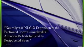 Neuroligin2 NLG2 Prefrontal Cortex and Attention Deficits [upl. by Grindle]