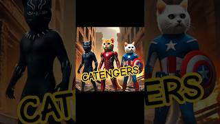 Catengers  Ironmeow blackCat CatTain America  Cute kitten kucinglucu cat [upl. by Domenic]