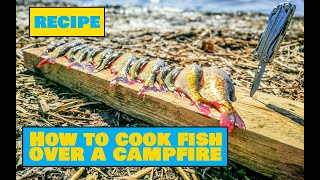 How to Cook Fish Over a Campfire  Easy Outdoors Cooking [upl. by Anibla]