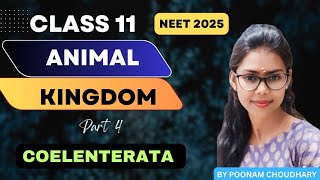 PHYLUM COELENTERATA  CNIDARIA  Animal kingdom L4  class 11  Neet 2025  Poonam Choudhary [upl. by Ailecra21]