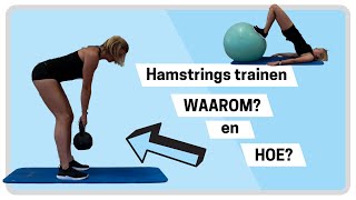 Hamstring oefeningen voor thuis  van beginner tot gevorderd 📈 [upl. by Llerrad]