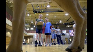 Warrior archers win state set to shoot in national tournament [upl. by Eerhs]