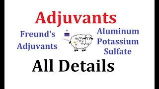 Adjuvants Animated explanation Alum Freunds Adjuvants [upl. by Jenifer267]