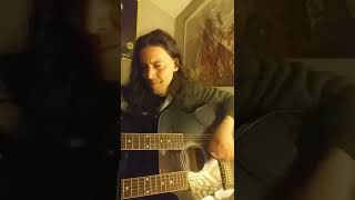 John Cougar Mellencamp Pink Houses cover [upl. by Giorgia]