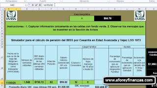 Como Utilizar Correctamente El Simulador De Pensión IMSS Ley 73 [upl. by Nort623]