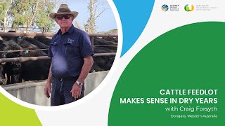 Cattle feedlot makes sense in dry years [upl. by Bainbridge152]