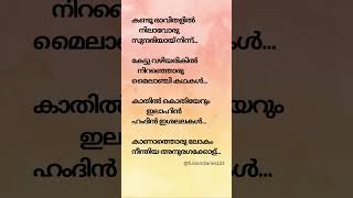 Kandu ravithalil song lyrics❤️‍🔥lyrics malayalam shorts viralvideo whatsappstatus treanding [upl. by Laeynad]