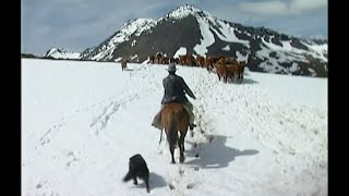 Colono en Tierra del Fuego [upl. by Cristie]