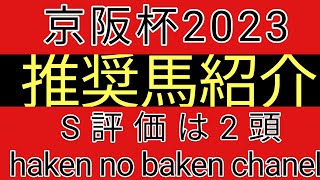 京阪杯2023 最終追切確認後の推奨馬紹介 最強1頭 S評価1頭 [upl. by Korten]