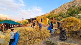 Completing Milad amp Mahins House Roof and Harvesting Wheat with Amirs Family [upl. by Christy]