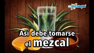 Un experto nos dice cómo tomar mezcal [upl. by Aciria592]