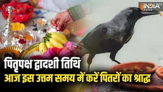 Pitru Paksha 2024 पितृपक्ष द्वादशी तिथि आज इस उत्तम समय में करें पितरों का श्राद्ध जानें महत्त्व [upl. by Hallam]