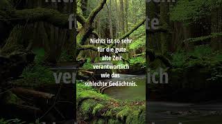 Zitate zum Nachdenken 79 ☘ [upl. by Jordain449]