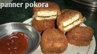 Panner pokora Recipe  Restaurant Style Panner Pokora  Rinki Cooking [upl. by Oeniri402]