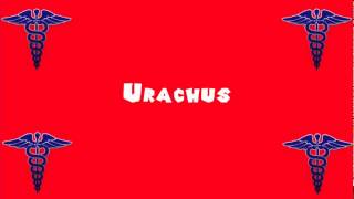 Pronounce Medical Words ― Urachus [upl. by Eyks]