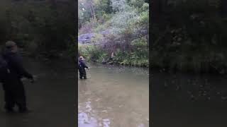 Salmon fishing part 1 canada canadalife [upl. by Ahsenad]