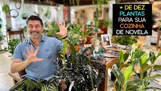 de 10 Plantas Para Sua COZINHA DE NOVELA [upl. by Assirec996]