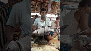 Katla fish cutting Katla fish cutting skillsKatla fish cutting KolkataCalifornia fish grill [upl. by Ssew]