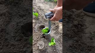 🌿 Easy method for growing plants Seedling Transplanter Agricultural Tools [upl. by Milly]