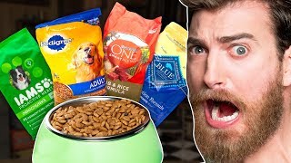 Whats The Best Dog Food Taste Test [upl. by Murry]