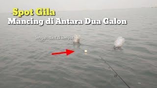 GILA SIH INI  Mancing Sebentar Bisa Dapat Kakap Banyak [upl. by Emilio]