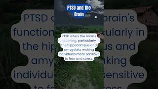 What PTSD Does to the Brain The Science Explained 🧠💥 [upl. by Vitia214]