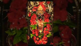 Ma Go Tumi Jagoth Moye 🌿🌿🌺🌺🌿🌿youtubeshorts kali 🌺🙏🌺 [upl. by Lareine]