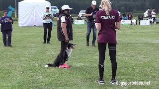 Finals – Jeļena Mirošņikova  Follow the Leader Earthquake  Border Collie – LATVIA [upl. by Chang99]