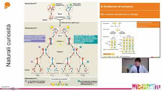 B8 Ereditarietà ed evoluzione  La teoria cromosomica e il linkage [upl. by Lolly206]