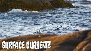 Ocean Surface Currents  Ocean Currents Part 2 [upl. by Kenelm]