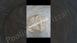 Poolish starter for Pizza making [upl. by Nnayt933]