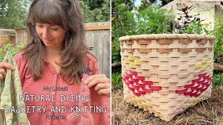 Basketry Dyeing and Knitting Projects August Makers Vlog [upl. by Sorce962]